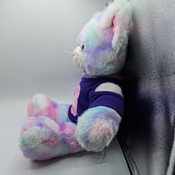 Build A Bear Plush Pastel Swirl Tie Dye Kitty Cat Pink Purple 16" with shirt - Picture 2 of 6